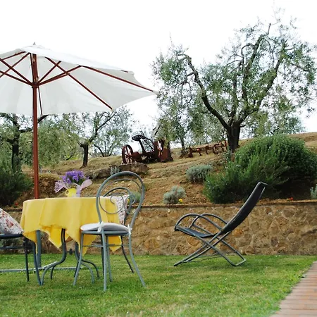 Pacifico * Montepulciano