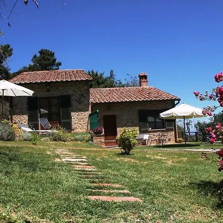 Pacifico * Montepulciano