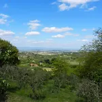 Pacifico *