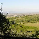 Pacifico Montepulciano