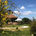 Pacifico Gospodarstwo agroturystyczne Montepulciano