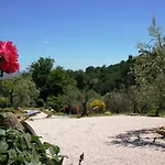 Pacifico *