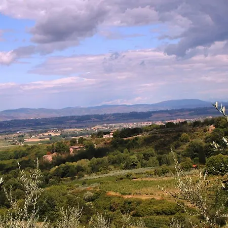 Pacifico Montepulciano Stazione